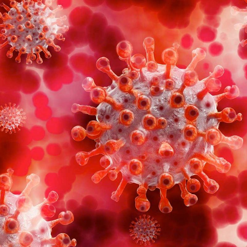microscopic view of Covid-19 virus