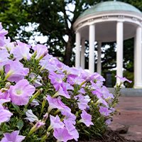 Old Well on UNC campus